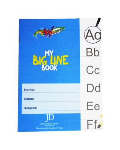 BIG LINES EXERCISE BOOK