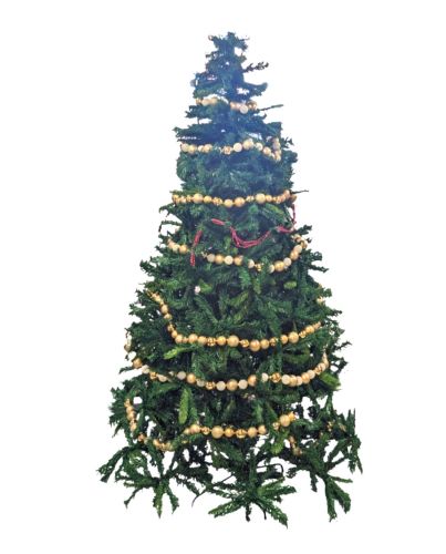 8' SCOTCH PINE CHRISTMAS TREE WITHOUT DECORATIONS