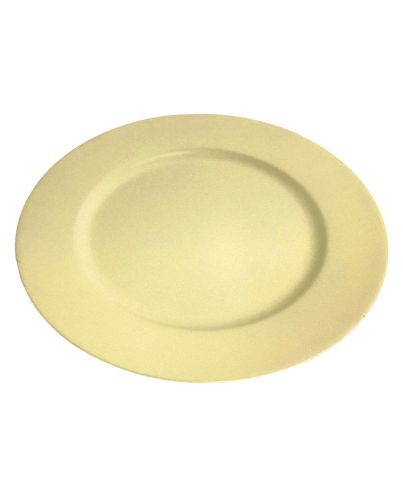 PLASTIC CHARGER PLATE