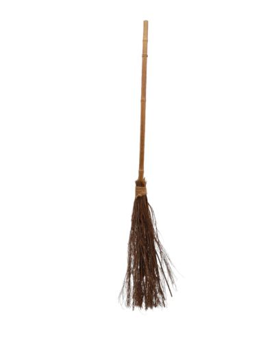 WITCH BROOM