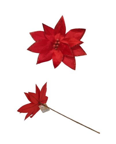 POINSETTIA RED