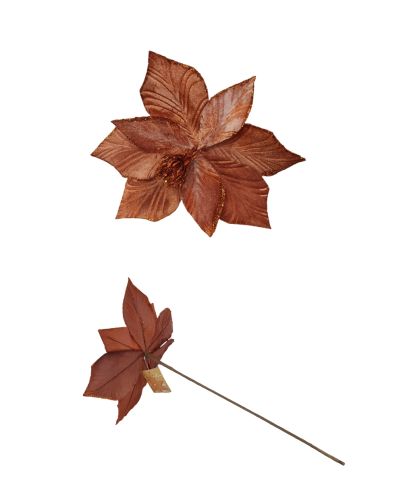 POINSETTIA COPPER