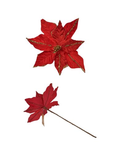 POINSETTIA RED-GOLD