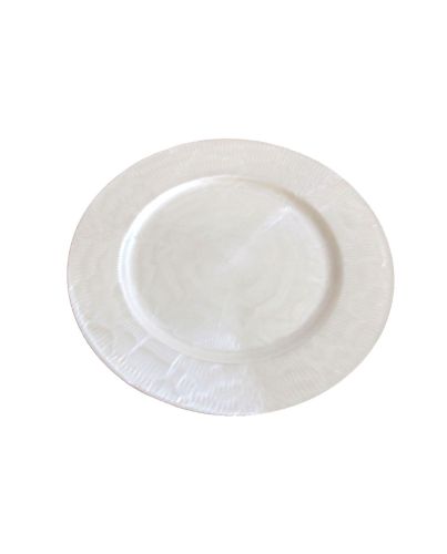 PLASTIC CHARGER PLATE