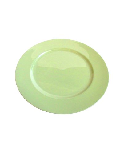 PLASTIC CHARGER PLATE