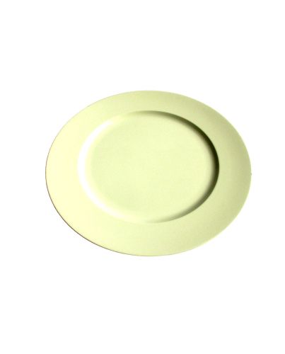 PLASTIC CHARGER PLATE