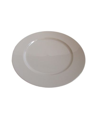 PLASTIC CHARGER PLATE