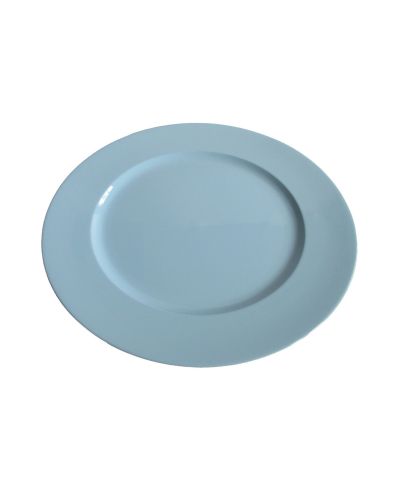 PLASTIC CHARGER PLATE