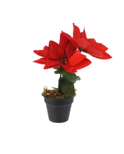 CHRISTMAS FLOWER 17CM