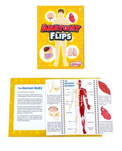 ANATOMY FLIPS BOOK